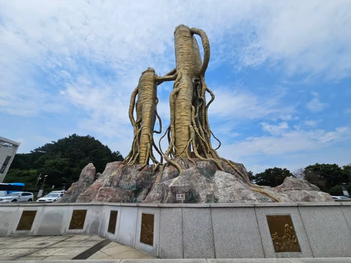 Geumsan, Korea, the capital of Korean ginseng